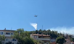 Balıkesir’de orman yangını: Ekipler müdahale ediyor