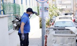 Balçova’da yaz mesaisi: Haşerelere karşı kapsamlı mücadele