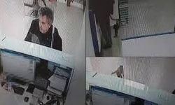 Banka şubesinde şaşırtan an: Asma tavandan kedi düştü