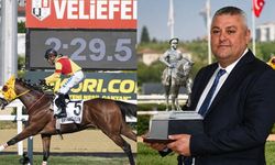 Bay Nalçakan sahibi kim? Emrah Nalçakan kimdir?