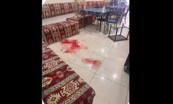 Bıçaklı saldırıya uğrayan 60 yaşındaki adam hayatını kaybetti