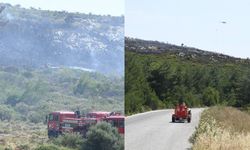 Urla'da makilik alanda yangın: Ekipler havadan ve karadan müdahale etti