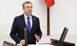 CHP'li Türeli'den organize suç ve çeteleşme tehdidine karşı önlem çağrısı