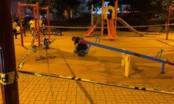 Çocuk parkında d*hşet: Pompalı tüfekle ateş açıldı, yaralılar var!
