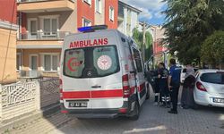 Dağdan toplanan mantar kabusa döndü: Dede ve torun hastanelik oldu