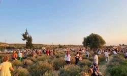 Didim lavanta kokacak: Festival için geri sayım başladı!