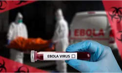 Ebola salgınında can kaybı 267'ye yükseldi