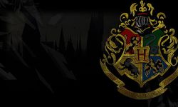 YKS AYT Harry Potter sorusu neydi, Harry Potter Gryffindor cevabı nedir?