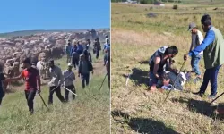 İki köy arasındaki arazi anlaşmazlığı çatışmaya dönüştü: Yaralılar var!