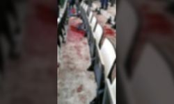 Amman'da maç izleyen taraftarlar arasında izdiham: 1 ölü, 8 yaralı