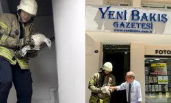 Gazetemize sığınan yaralı yavru martıya İzmir itfaiyesinden destek