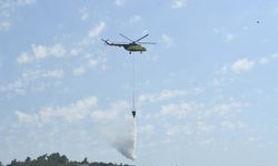 İzmir Urla’da orman yangını korkuttu: Alevler yerleşim yerlerine ulaşmadan kontrol altına alındı