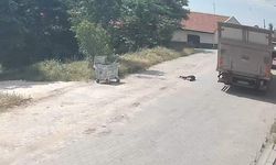 Kamyonun çarptığı yaşlı kadın yaşamını yitirdi