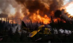 Kanada'da düşen yangın söndürme uçağında kurtulan olmadı