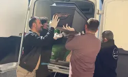 Kene ısırması sonucu 3 çocuk babası 52 yaşındaki adam öldü