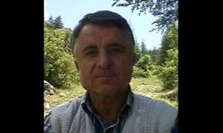 Kestiği ağacın altında kalan kişi hayatını kaybetti