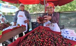 Kirazın bereketi, Bornova’nın neşesiyle buluşacak