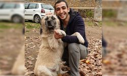 Kocakarı Ansiklopedisi YouTube kanalı sahibi Volkan Alaei kimdir?