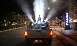 Manisa'da haşereyle mücadele hız kesmiyor