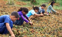 Geçim krizi çocuk işçiliğini büyütüyor