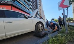Otomobilden yılan çıktı ihbarı! İtfaiye ekipleri seferber oldu