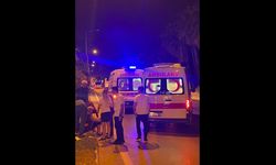 Otomobilin çarptığı turist hayatını kaybetti