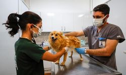 Pako’da cerrahi ekipmanlar artık merkezi sistemle sterilize ediliyor