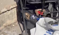 Piknikte korku dolu anlar! Ağaçtan düşen yılan bebek arabasına girdi