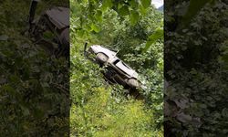 Şarampole devrilen kamyonetin sürücüsü elzem kazada öldü