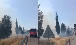 Torbalı Ayrancılar'da korkutan yangın! Otluk alan dumanlara teslim oldu