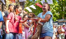 Torbalı'da patili dostlar için unutulmaz festival!