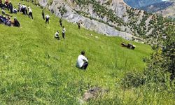 Traktör faciası: Sürücü olay yerinde hayatını kaybetti