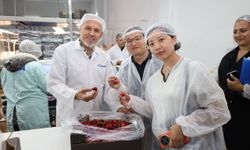 Türk kirazı Çin pazarına bir adım daha yaklaştı