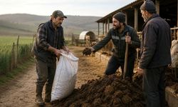 Köylünün kimyasını kimyasal gübre bozdu