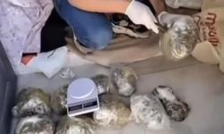 Zehir tacirlerine operasyon: 8 kişi tutuklandı