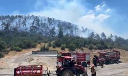Balıkesir yangın son dakika: Kepsut'ta yangına müdahale sürüyor