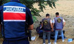Acı olay: 72 yaşındaki kadın sulama kanalında ölü bulundu
