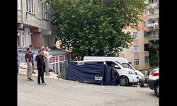 Ağabeyi, yengesi ve yeğenini silahla öldürdü