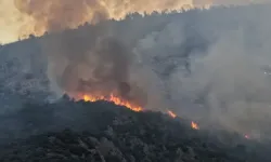 Antalya ve Muğla'daki orman yangınlarına müdahale ediliyor