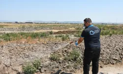 Balıkesir'de haşereyle mücadele 20 ilçede yıl boyunca sürüyor