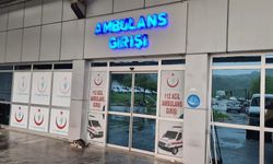 Bir anda fenalaştı! Eşek arısı sokan kadın yoğun bakıma kaldırıldı