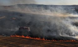 Bir izmarit, 400 dönümü kül etti!