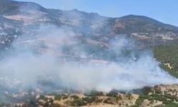Bornova'da orman yangını: Havadan ve karadan müdahale sürüyor