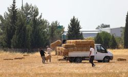 Buca Belediyesi'nden üreticilere tam destek!