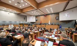 Büyükşehir meclisinde ‘şempanze’ tartışması