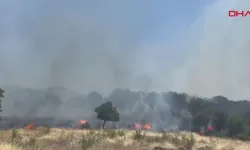 Çanakkale'de korkutan orman yangını! Alevlere teslim oldu