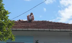 Çatıda intihar girişimi!