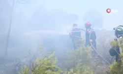 Cezayir'de orman yangınları can aldı: 6 kişi hayatını kaybetti