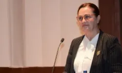 CHP İzmir Kadın Kolları Başkanı Nilay Kökkılınç kimdir, hangi görevlerde bulundu?