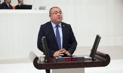 CHP'li Karakoz: Zeytinciler ve zeytinyağı sektörü perişan durumda!
